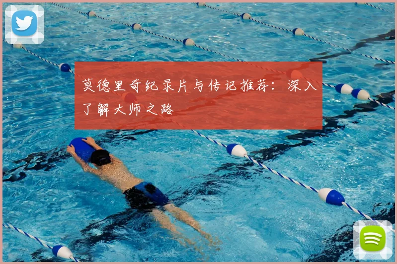 莫德里奇纪录片与传记推荐:深入了解大师之路