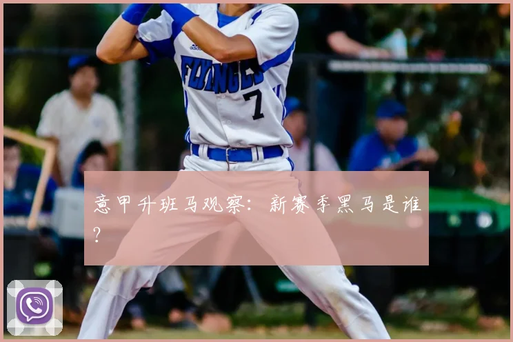 意甲升班马观察：新赛季黑马是谁？