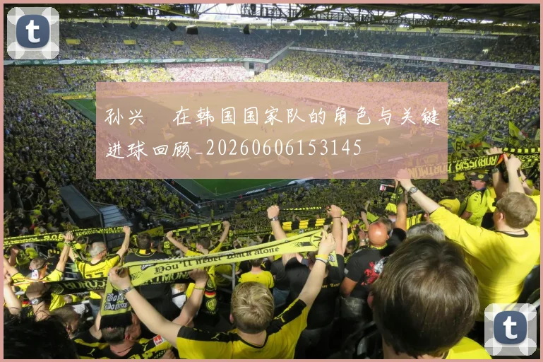 孙兴慜在韩国国家队的角色与关键进球回顾_20260606153145